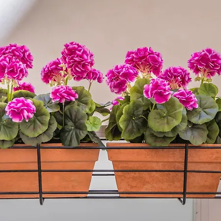 דירה Spinola Bay Hideaway *