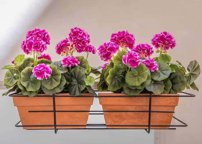 Lägenhet Spinola Bay Hideaway *